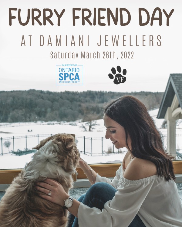 Damiani Jewellers Raised Money on 'Furry Friend Day' for the Ontario SPCA 0