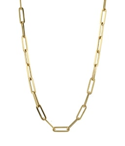 A gold paperclip chain necklace from Doves By Doron Paloma.