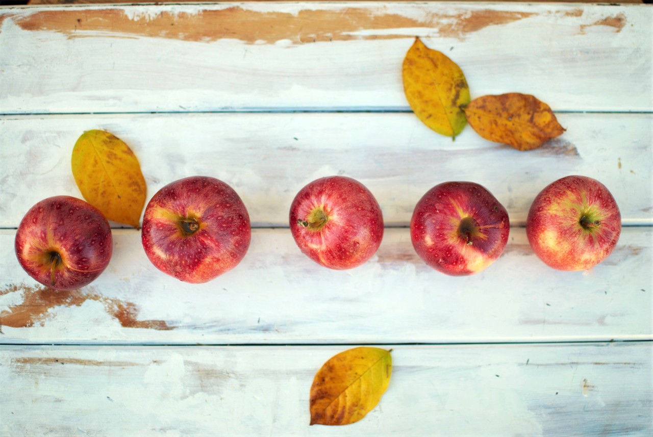 A row of 5 fresh red apples on a rustic table accented with golden fall leaves.