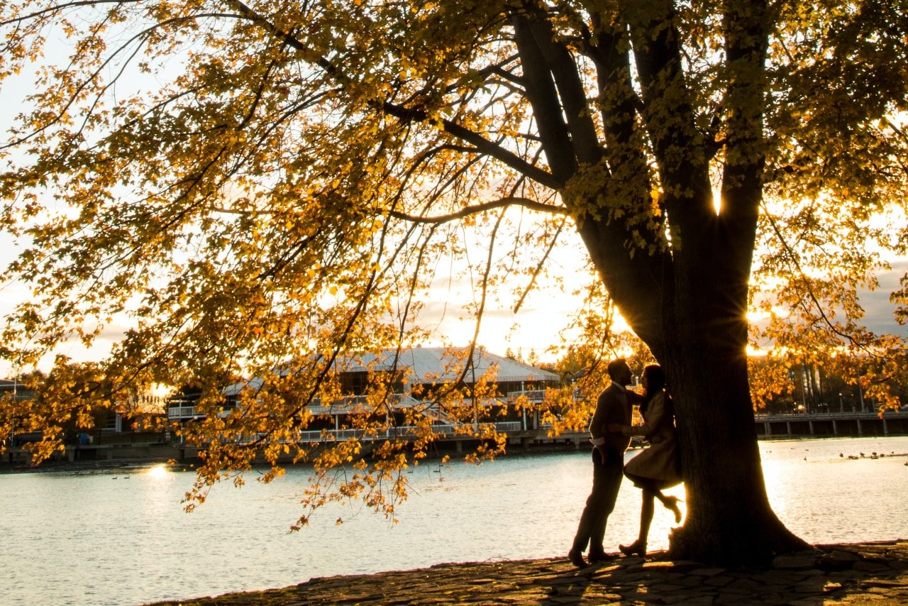 A backlit couple leaning against a beautiful fall tree on the waterfront.